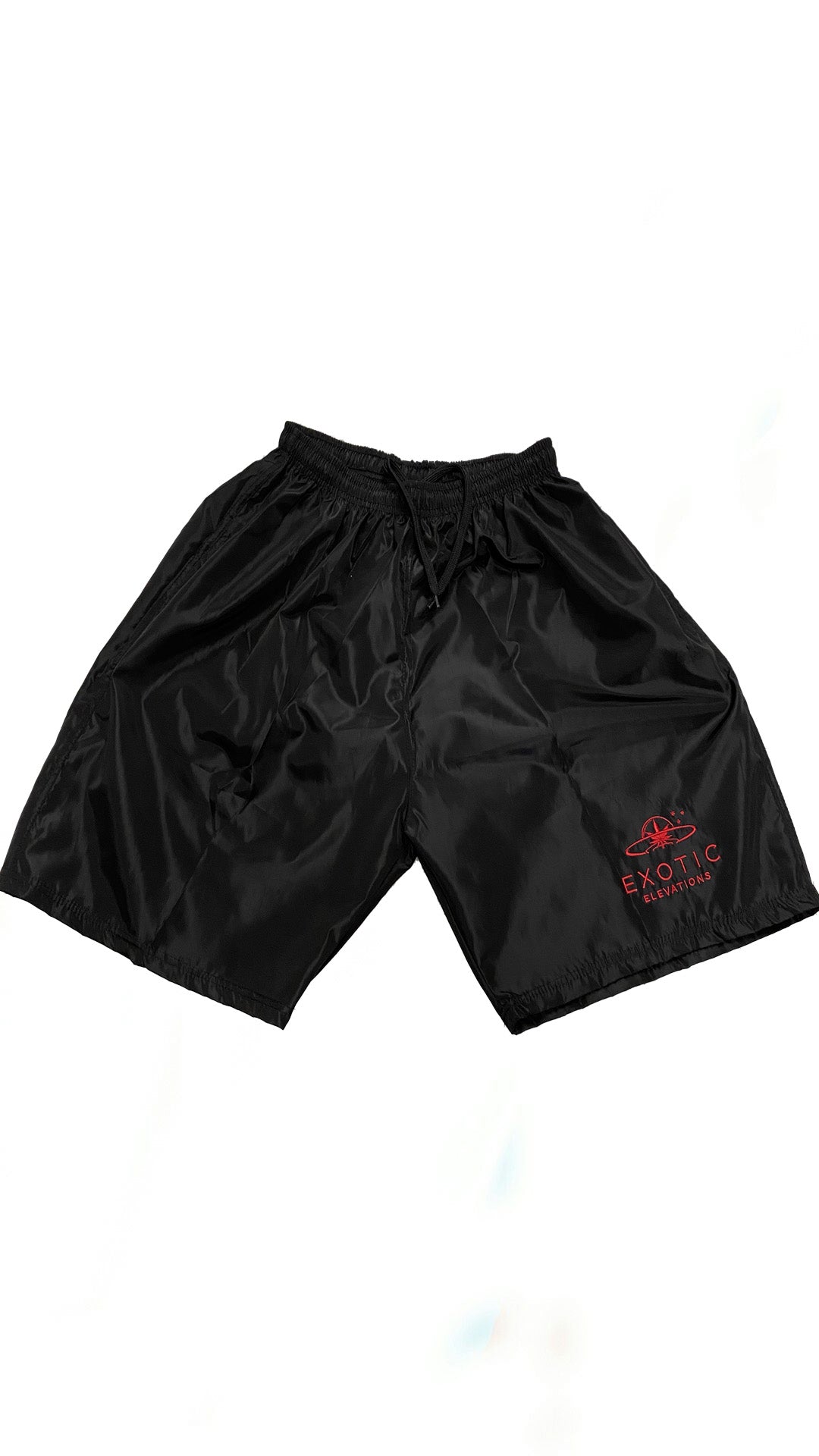 Nylon Logo Shorts