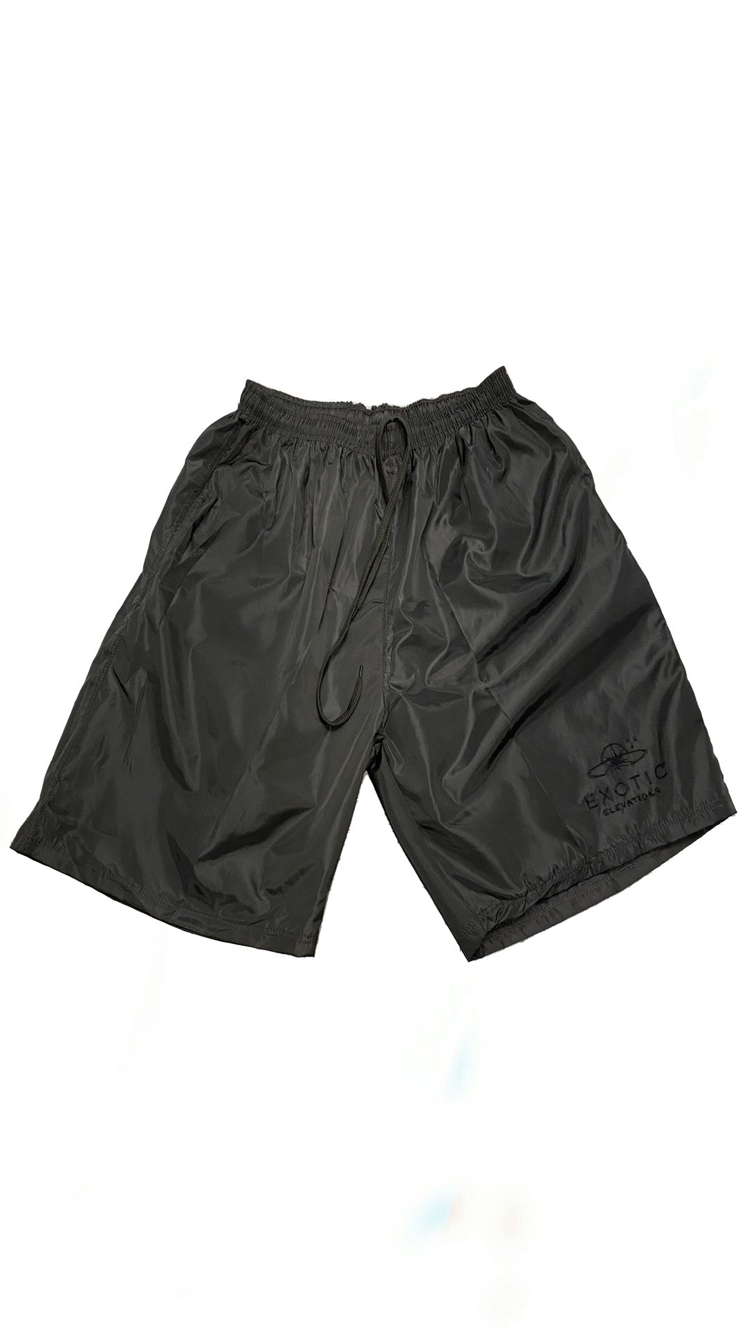 Nylon Logo Shorts