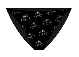 Women’s Logo Bikini