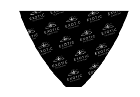 Women’s Logo Bikini